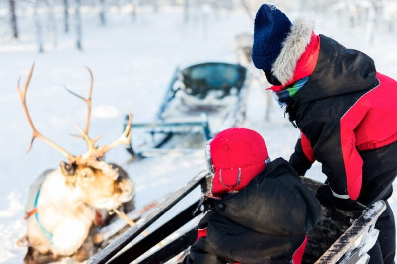 Rovaniemi: Husky & Reindeer Experience with Snowmobile Ride - Who Will Love This Tour?