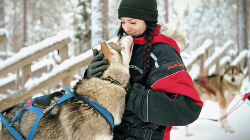 Rovaniemi: Husky Sled Ride and Farm Visit - Price and Value: What You Get for $125