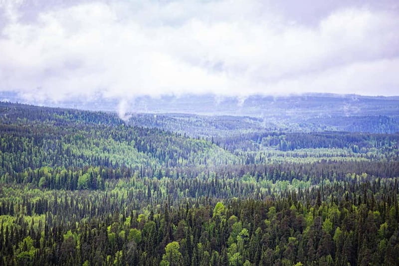 Rovaniemi: Korouoma Canyon and Auttiköngäs Falls Tour - Key points / Takeaways