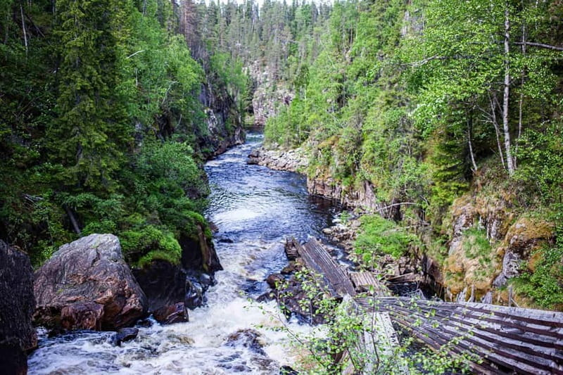 Rovaniemi: Korouoma Canyon and Auttiköngäs Falls Tour - Authentic Open-Fire Lunch and Wildlife Encounters