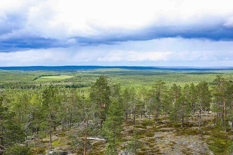 Rovaniemi: Korouoma Canyon and Auttiköngäs Falls Tour - Transportation, Duration, and Group Size