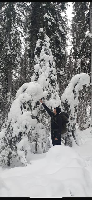 Rovaniemi: Korouoma Canyon Frozen Waterfalls Day Trip - Key points / Takeaways