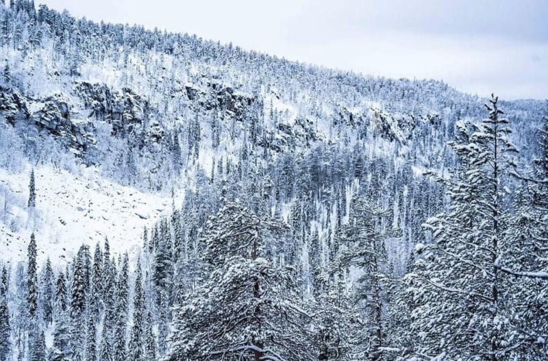 Rovaniemi: Korouoma Canyon & Frozen Waterfalls Tour with BBQ - Final Thoughts: Value and Authenticity in a Frozen Landscape