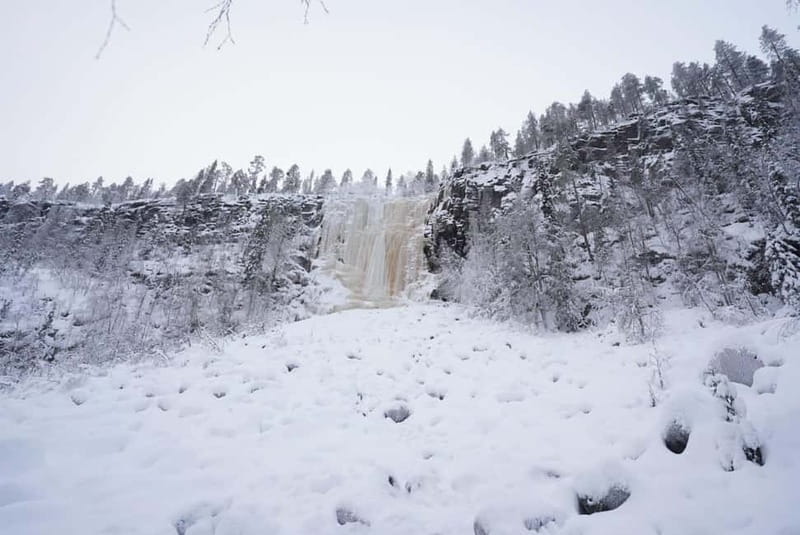 Rovaniemi: Kourouma Canyon Hiking Tour with BBQ - Who Will Love This Tour?