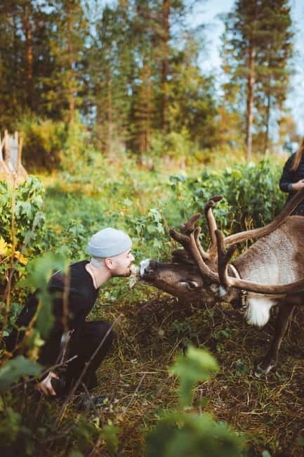 Rovaniemi: Meet and Feed Reindeer - FAQ