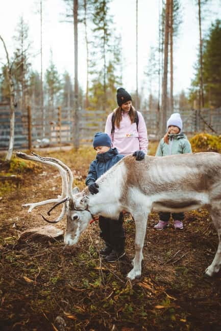 Rovaniemi: Meet Santa Claus and His Friends - Rovaniemi: Meet Santa Claus and His Friends — A Festive Family Adventure in Lapland