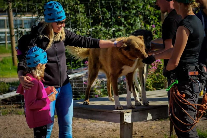 Rovaniemi: Modern husky kennel tour and cart ride in summer - Who It’s Best For