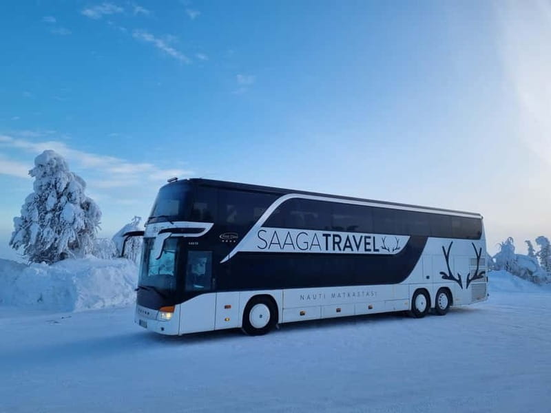 Rovaniemi: Northern Lights Bus Tour with Hot Drinks & Snacks - Key Points / Takeaways