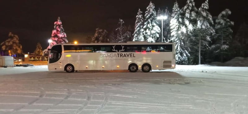 Rovaniemi: Northern Lights Bus Tour with Hot Drinks & Snacks - A Practical Look at the Experience