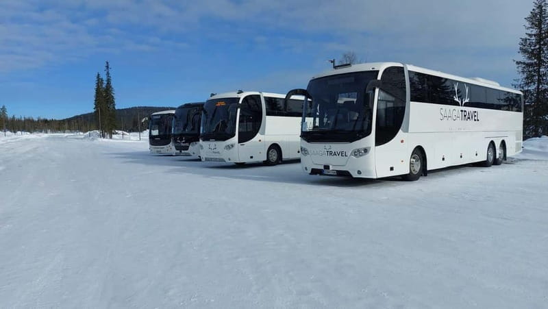 Rovaniemi: Northern Lights Bus Tour with Hot Drinks & Snacks - What Makes This Tour Special?