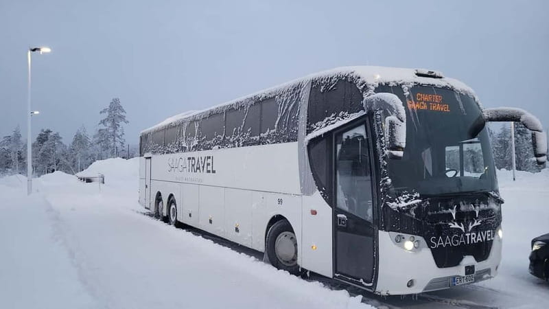 Rovaniemi: Northern Lights Bus Tour with Hot Drinks & Snacks - Price and Overall Value