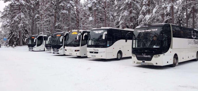 Rovaniemi: Northern Lights Bus Tour with Hot Drinks & Snacks - Who Should Consider This Tour?