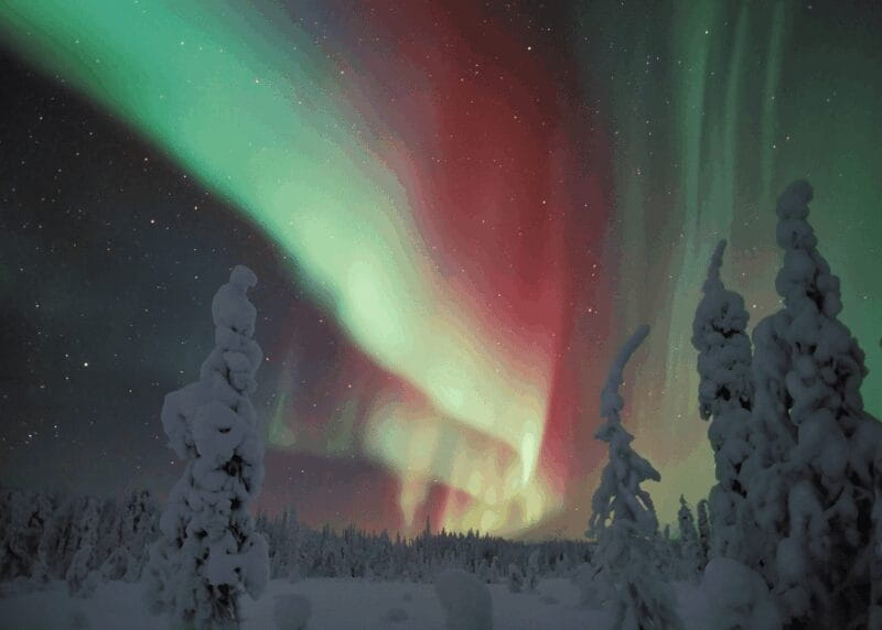 Rovaniemi: Northern Lights Snowmobile Safari with Campfire - Price and Value