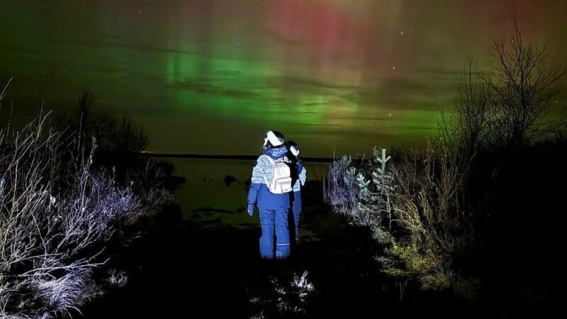 Rovaniemi: Northern Lights Tour with BBQ - Introduction: A Taste of Arctic Adventure