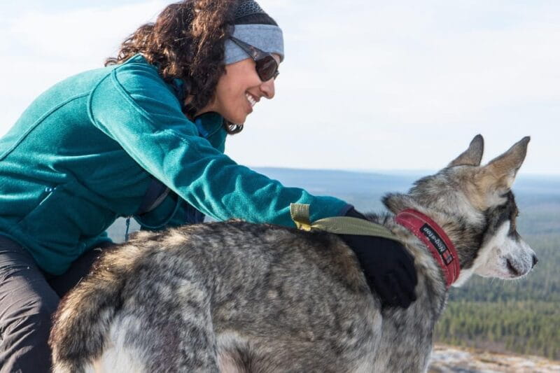 Rovaniemi: One Hour Husky Experience - Key points / Takeaways