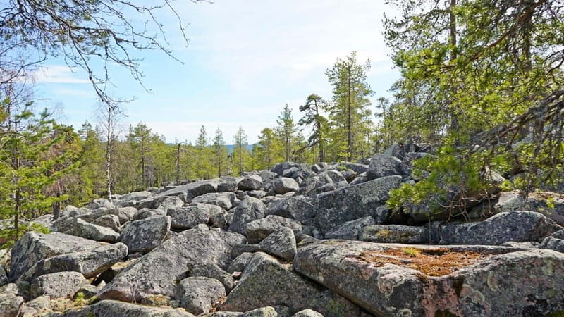 Rovaniemi: Övertorneå and Aavasaksa Hill. History and Nature - The Sum Up