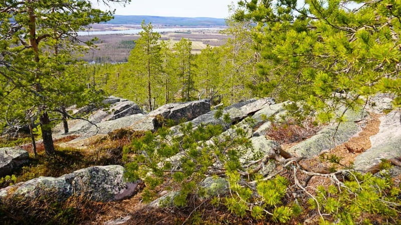 Rovaniemi: Övertorneå and Aavasaksa Hill. History and Nature - FAQ