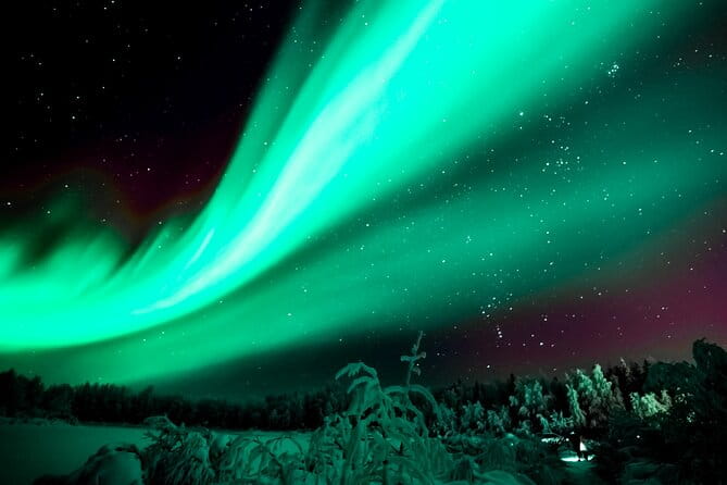 Rovaniemi: Private Aurora Tour with Guaranteed Sightings - An In-Depth Look at the Tour Experience