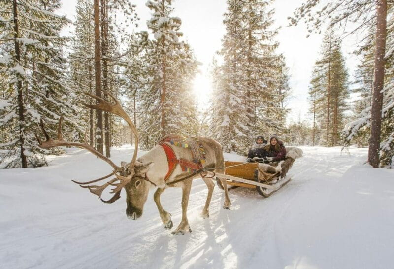 Rovaniemi: Reindeer Farm Visit and Sleigh Ride with transfer - FAQs