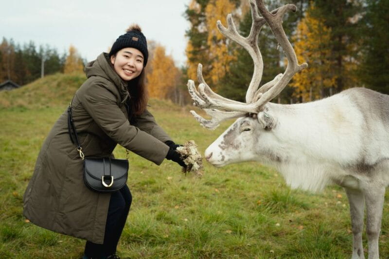 Rovaniemi: Reindeer Farm Visit with Photographer - Key Points/Takeaways