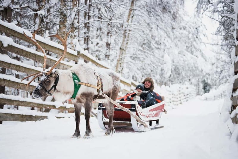 Rovaniemi: Reindeer, Huskies & Santa Claus Village - Entering the Arctic Wonderland