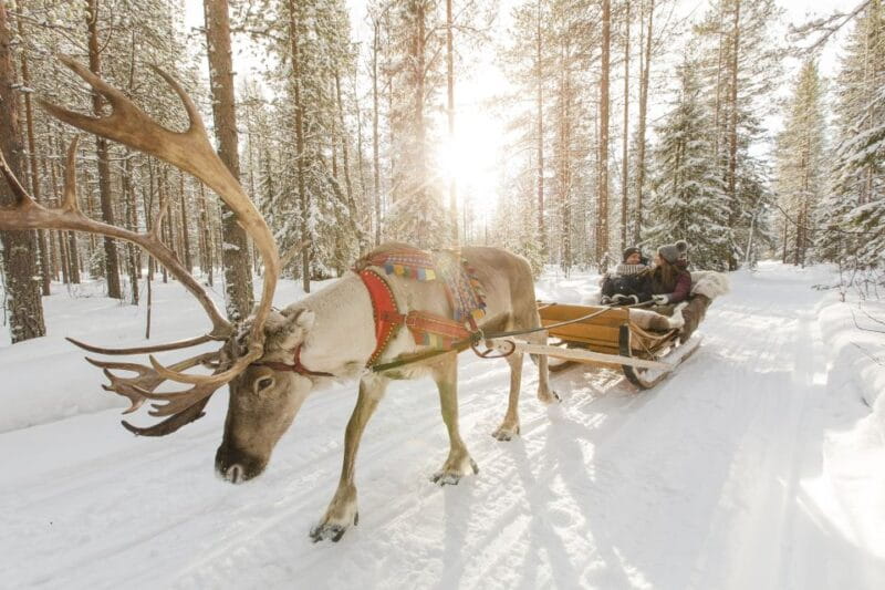 Rovaniemi: Reindeer, Huskies, Santa's Pets & Aurora Hunt - Rovaniemi: Reindeer, Huskies, Santas Pets & Aurora Hunt — A Practical Look at an Arctic Adventure