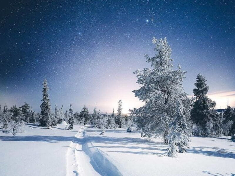 Rovaniemi: Riisitunturi Full-Day Wilderness Adventure & BBQ - Capture the Moment with Expert Guidance