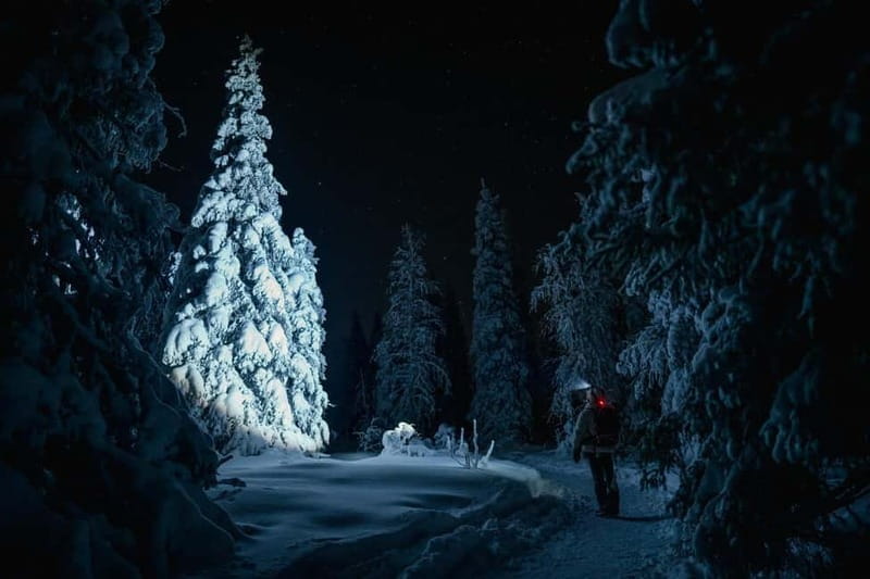 Rovaniemi: Riisitunturi National Park Night Photography Tour - Entering the Silent Arctic Night