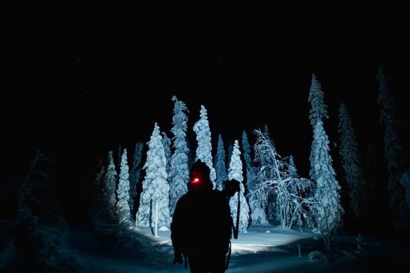 Rovaniemi: Riisitunturi National Park Night Photography Tour - Expert Guidance for Night Photography