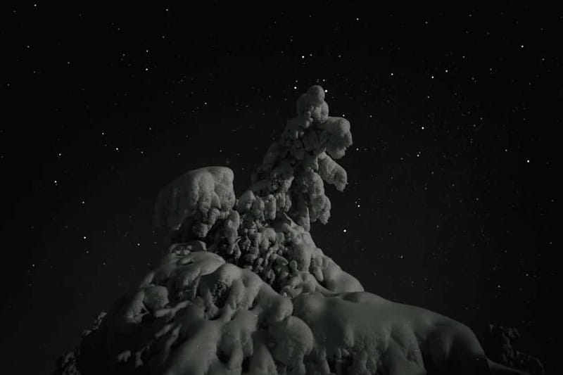 Rovaniemi: Riisitunturi National Park Night Photography Tour - Price and Logistics