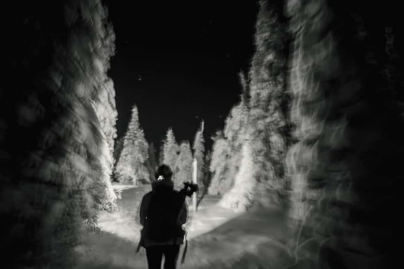 Rovaniemi: Riisitunturi National Park Night Photography Tour - Who Should Consider This Tour