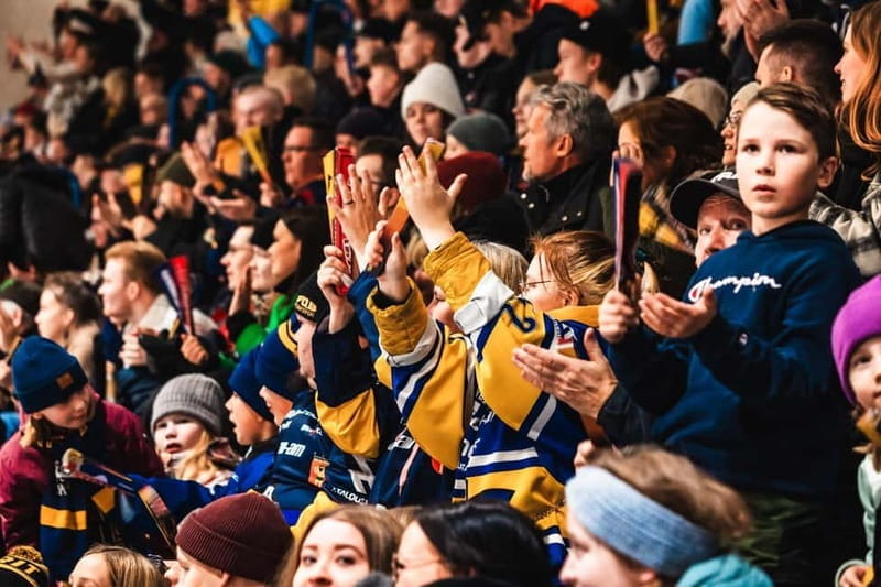 Rovaniemi: RoKi Hockey Ice Hockey Tickets - Key Points / Takeaways