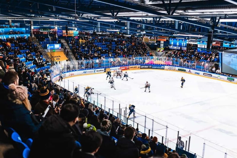 Rovaniemi: RoKi Hockey Ice Hockey Tickets - Who Should Consider This Experience?