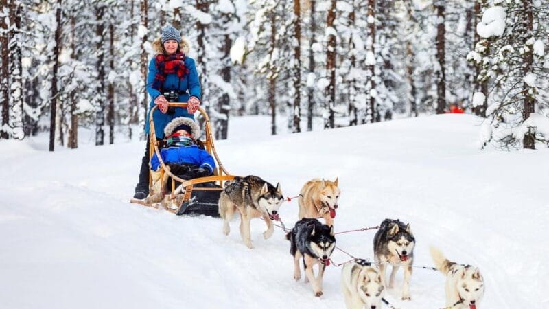 Rovaniemi: Santa Claus Village + Husky & Reindeer Sled Ride - Price and What You’re Getting