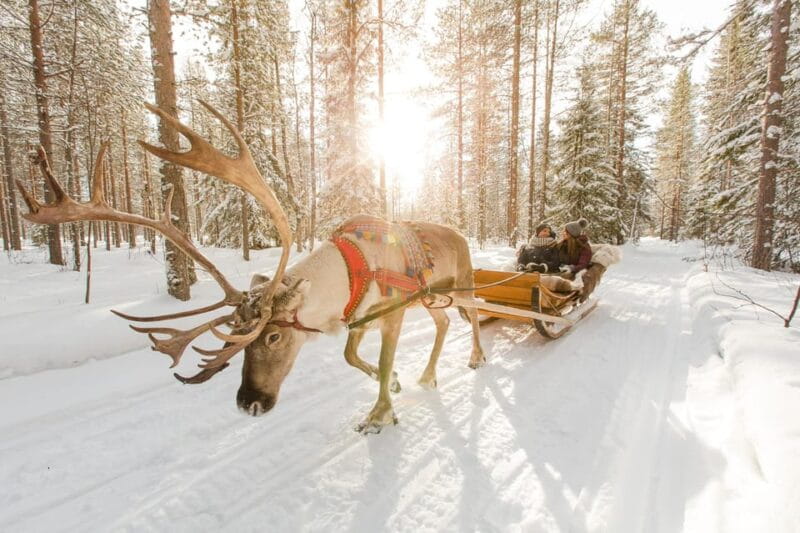 Rovaniemi: Santa's Village, Husky, & Reindeer Sled Ride - Who Will Love This Tour?