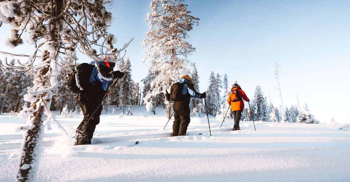 Rovaniemi: Ski Trekking Safari in Lapland - Marveling at Winter Landscapes
