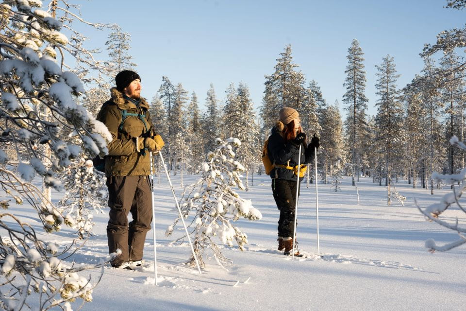 Rovaniemi: Small-group Ski Trek to the Wilderness - Lappish Tent Experience