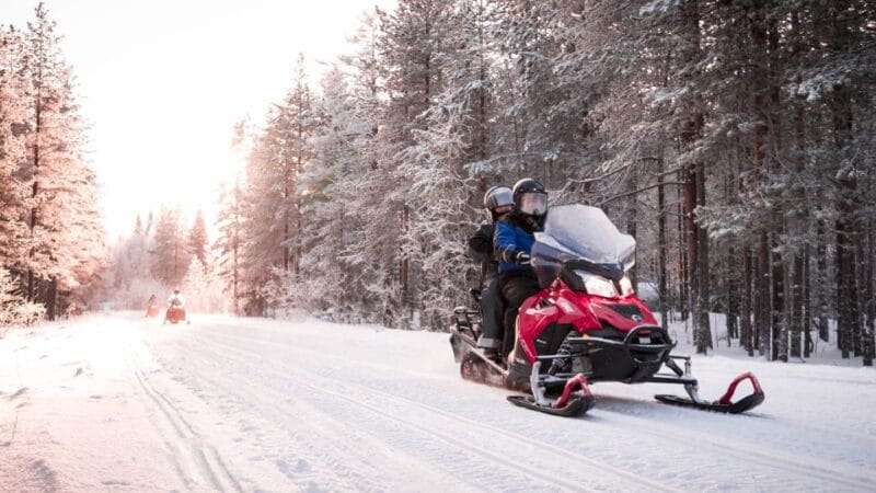 Rovaniemi: Snowmobile Safari into the Arctic Circle Forest - Exploring Rovaniemi’s Snowmobile Safari: The Heart of Arctic Adventure