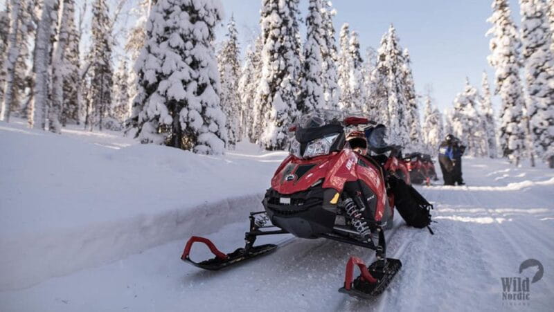 Rovaniemi: Snowmobile Safari into the Arctic Circle Forest - FAQ