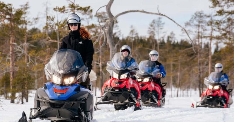 Rovaniemi: Snowmobile Safari into the Wilderness - Entering the Arctic Wilderness: What the Tour Looks Like