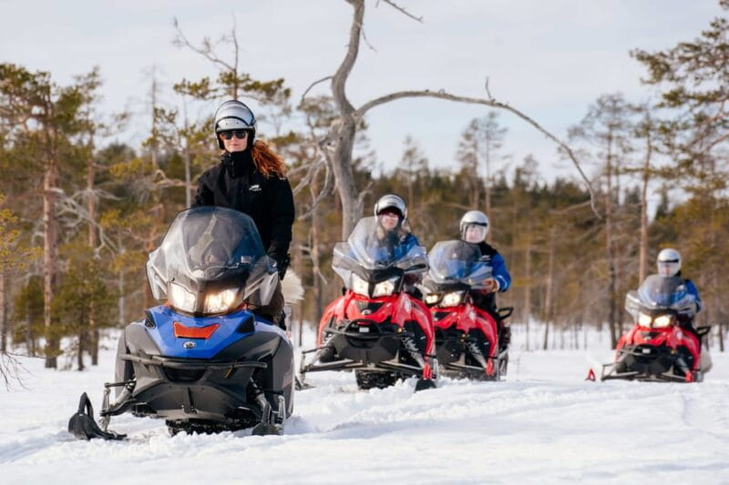 Rovaniemi: Snowmobile Safari into the Wilderness - Practicalities and Logistics