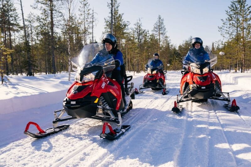 Rovaniemi: Snowmobile Safari into the Wilderness - Who Will Love This Experience?