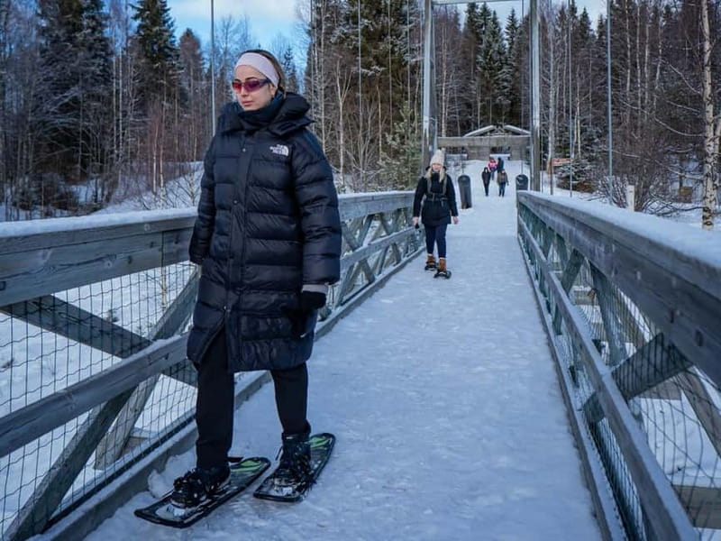 Rovaniemi: Snowshoe Adventure at Vikaköngäs & Barbeque - Who Is This Tour Perfect For?