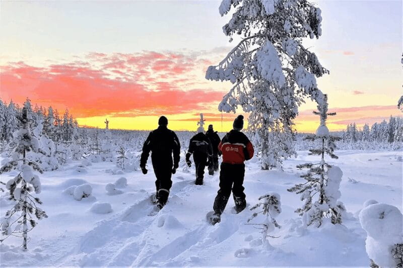 Rovaniemi: Snowshoe Hiking Adventure - Who Is This Tour Best For?
