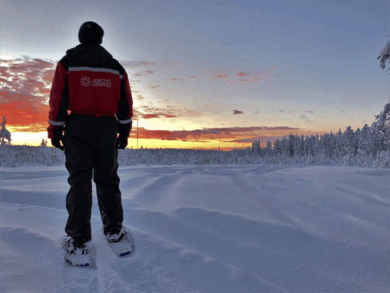 Rovaniemi: Snowshoe Hiking Adventure - Price & Value Analysis