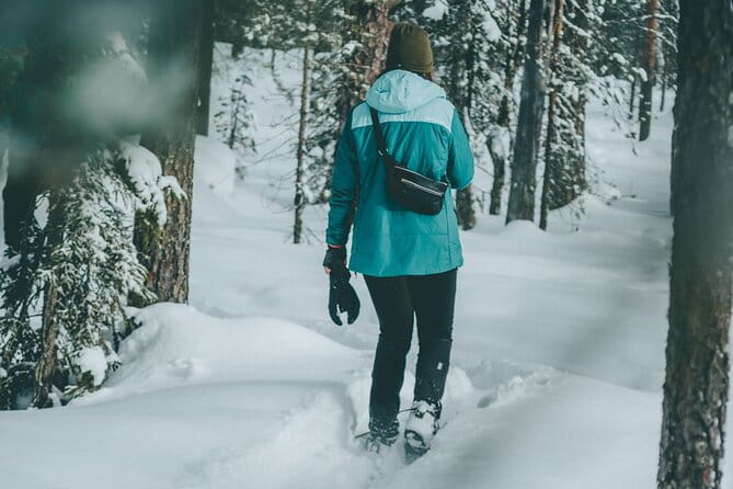 Rovaniemi: Snowshoeing in a magical snowy forest - Key Points / Takeaways