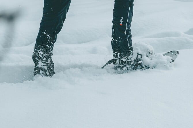 Rovaniemi: Snowshoeing in a magical snowy forest - The Itinerary: Step-by-step into a Finnish Winter Landscape