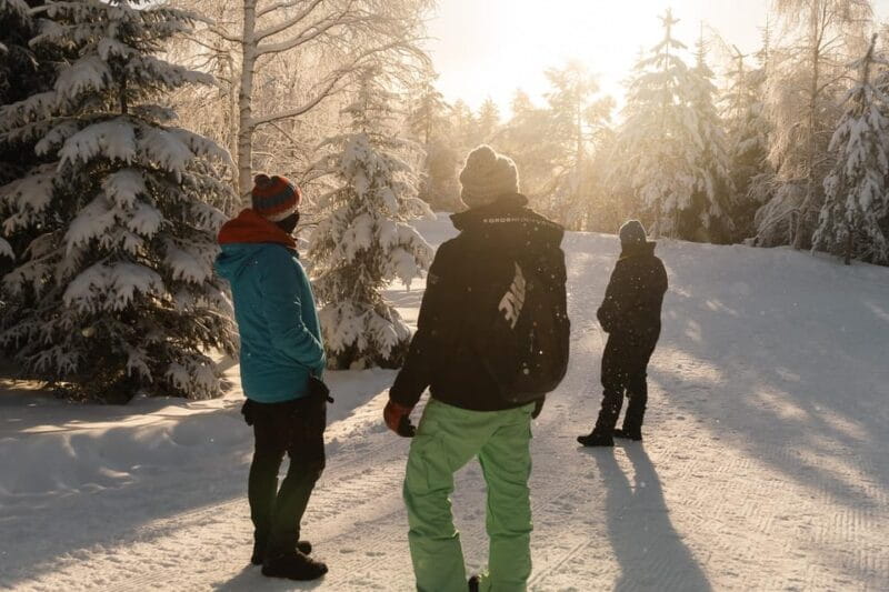 Rovaniemi: Snowshoeing in the Arctic Wilderness - Key points / Takeaways