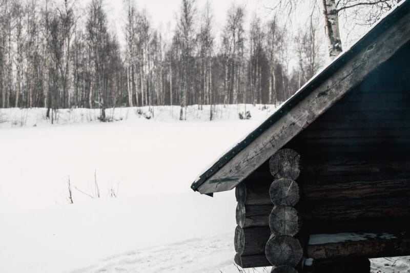 Rovaniemi: Snowshoeing in the Arctic Wilderness - Logistics and Value