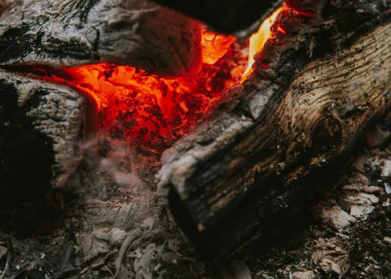 Rovaniemi: Snowshoeing in the Arctic Wilderness - Who Should Book This Snowshoe Adventure?